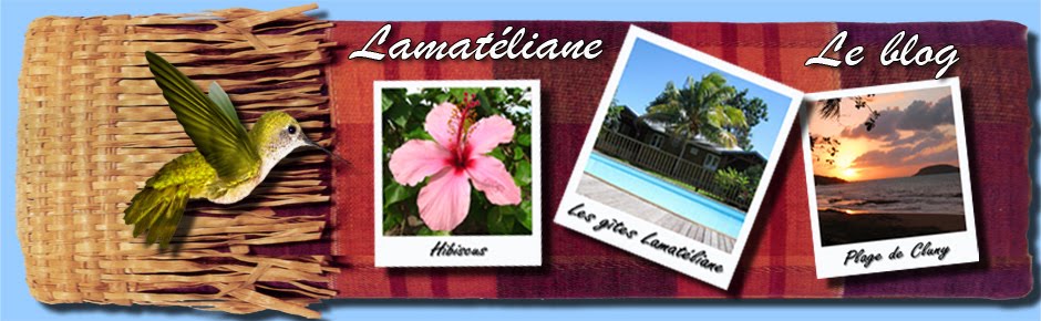 Lamatéliane Guadeloupe, le blog