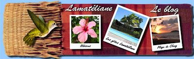 Lamatéliane Guadeloupe, le blog