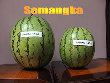 Semangka