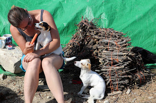 A pile of kindling, Louise with the string again A pile of kindling, Louise with the string again