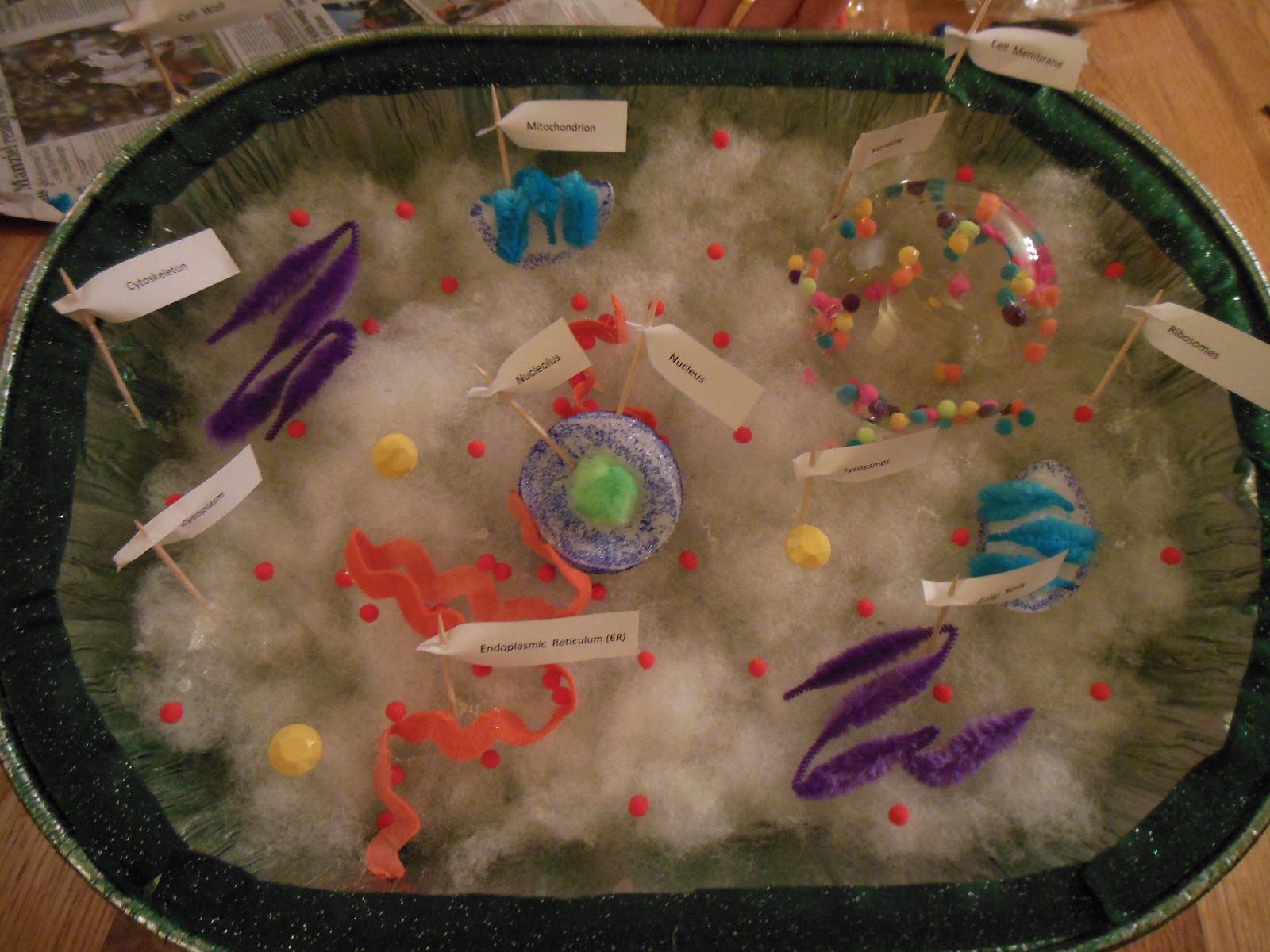 We made a plant cell! What A Busy Mom Wants