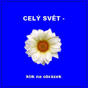 CELÝ SVĚT -