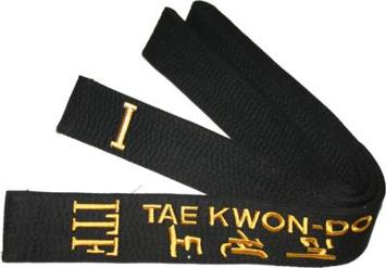 Taekwondo Techniques Black Belt