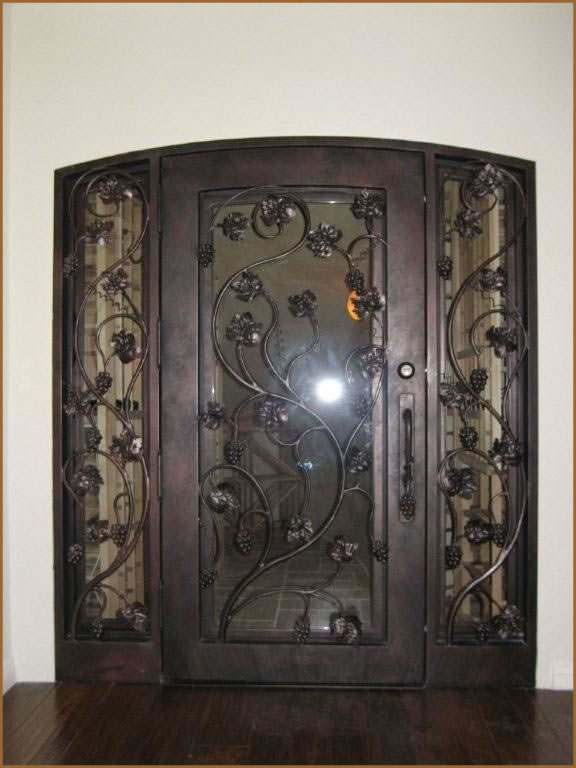 Kerala Model Metal Doors Designs Wood Design Ideas