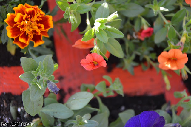 Journey to a Vertical Garden Part 4 Home Depot #DigIn