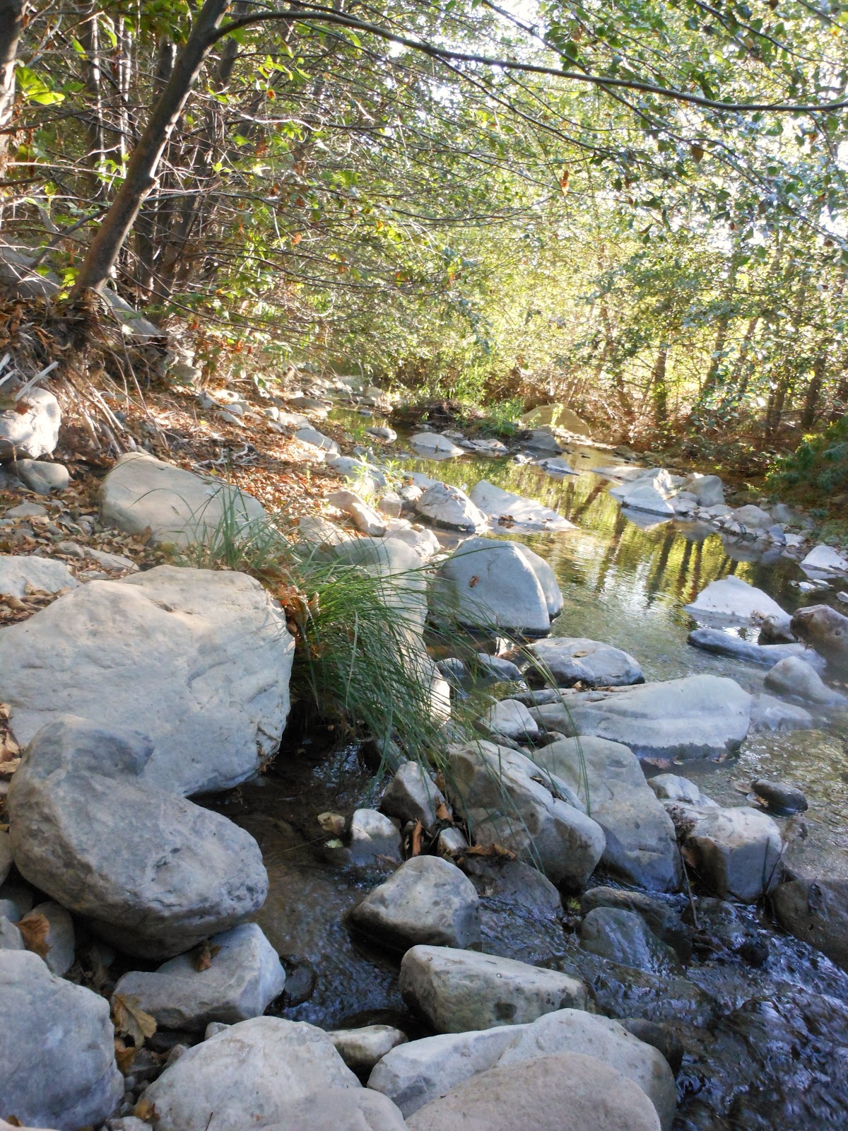 1000 Hikes in 1000 Days Days 648 & 649 Santa Paula Punch Bowls Last