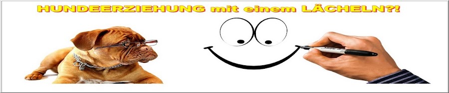 Firsthandy Webradio Blog mit Denksportspiele für Hunde! ☀Sonne tanken