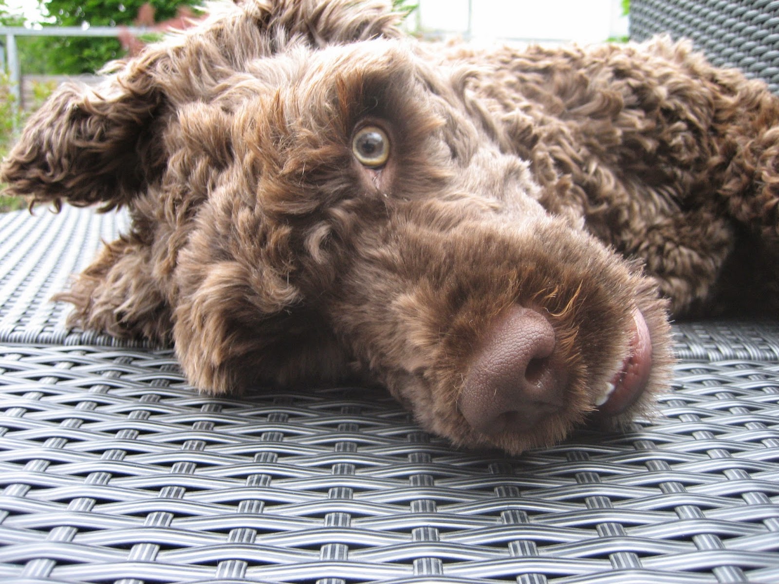 Einstein Wahnsinn Definition