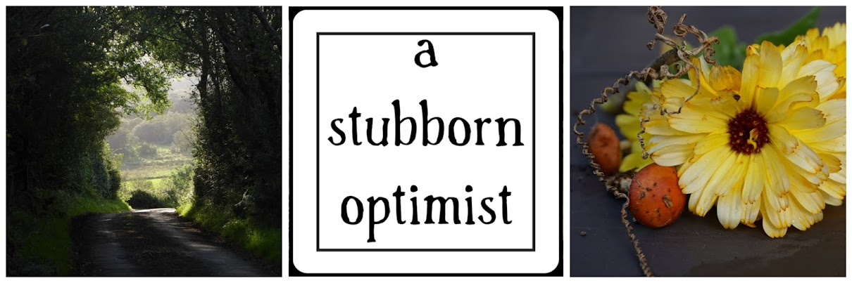 A Stubborn Optimist ~ An Ecotherapy blog