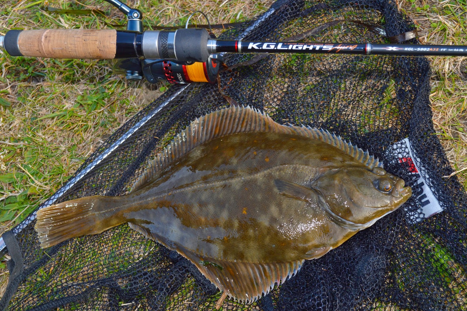 Next Generation Angling. Floundering around Weymouth and West Bay Harbour.