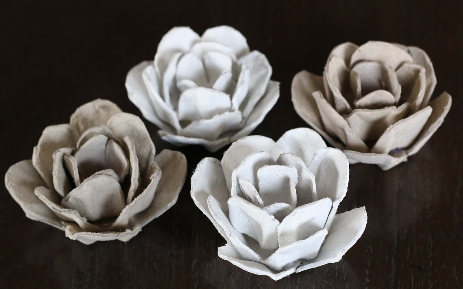 Make // Egg Carton Flower Frame