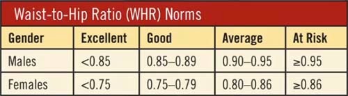 Waist To Hip Ratio Chart