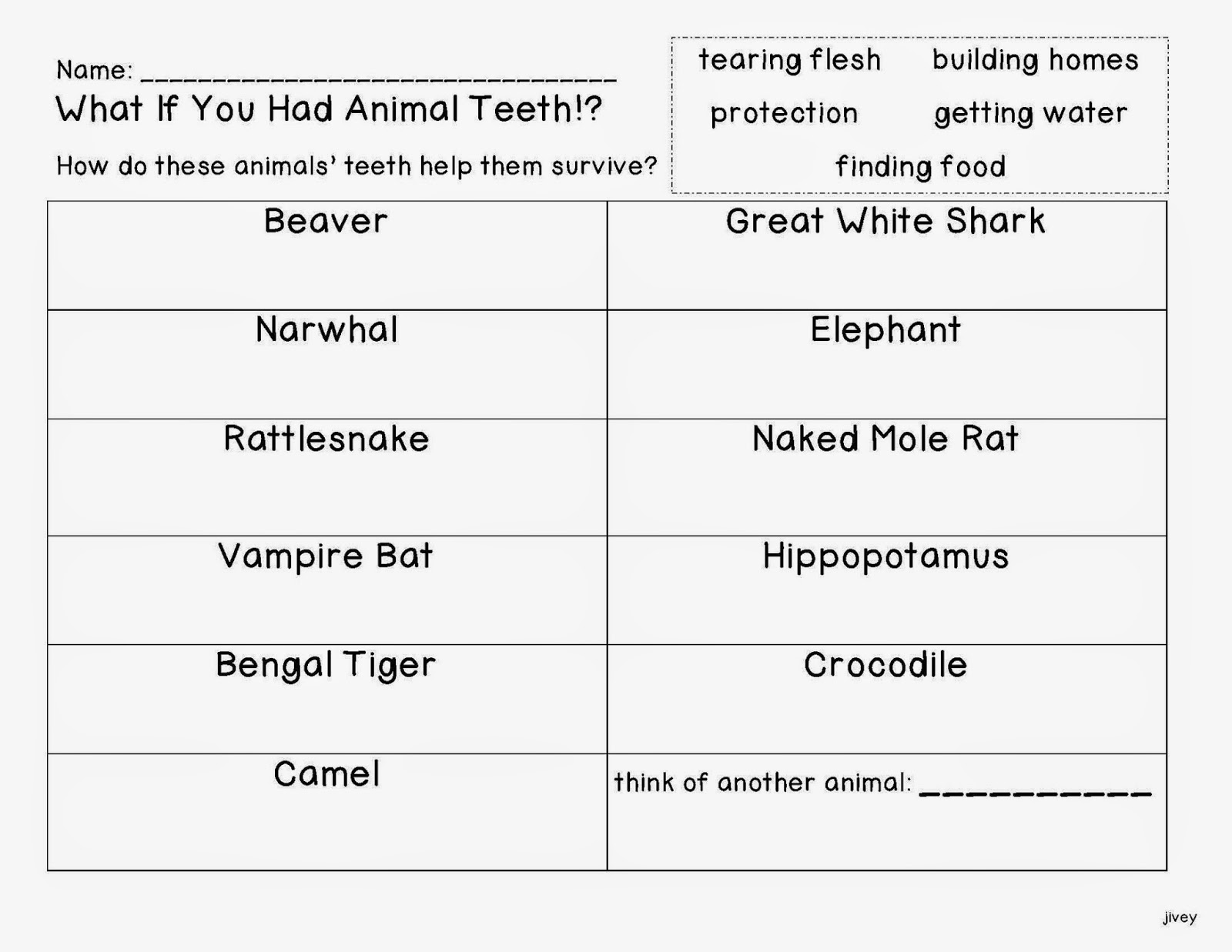 Worksheets Animal Adaptations Worksheets what if you had animal parts freebies ideas by jivey adaptations activity with jivey