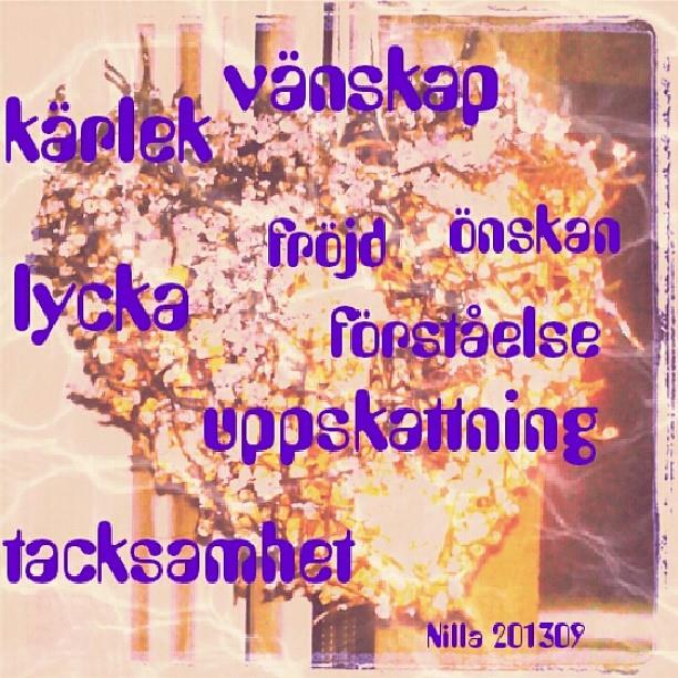 vilka dejtingsidor är bra iq