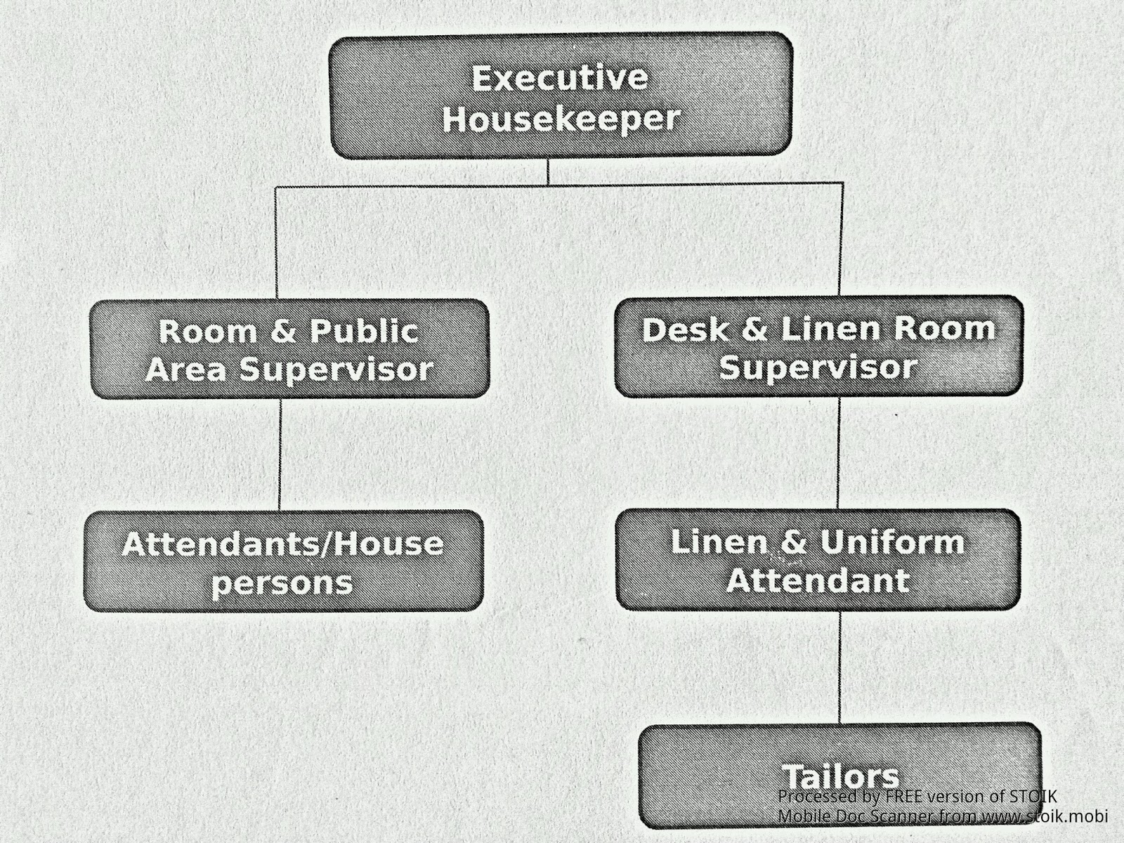 hotel housekeeping department organizational chart