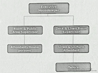 house keeping notes organizational structure of h k organization chart of housekeeping department in a small hotel
