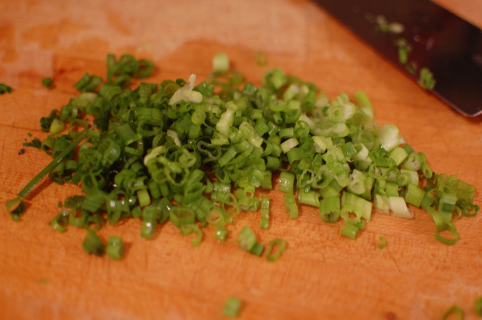 Reckless Abandon Japanese Onion Soup