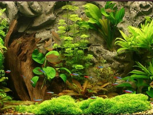 Cadillacs And Dinosaurs 20 Gun Hack