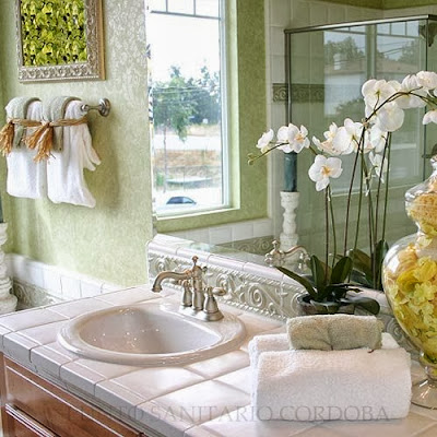 Punto Sanitario Cordoba.Feng Shui para baños Punto Sanitario Cordoba.Feng Shui para baños