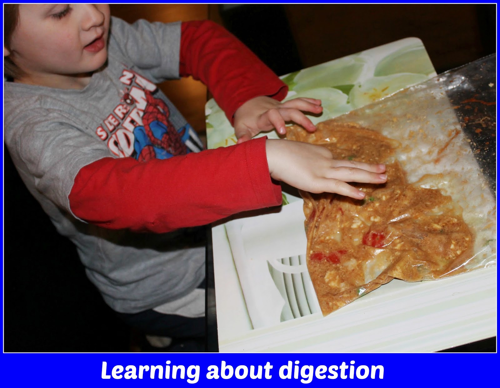 Adventures at home with Mum Digestion Experiment in a bag Exploring