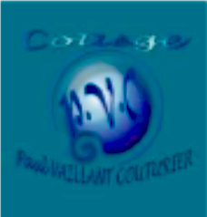 Logo du collège PVC :