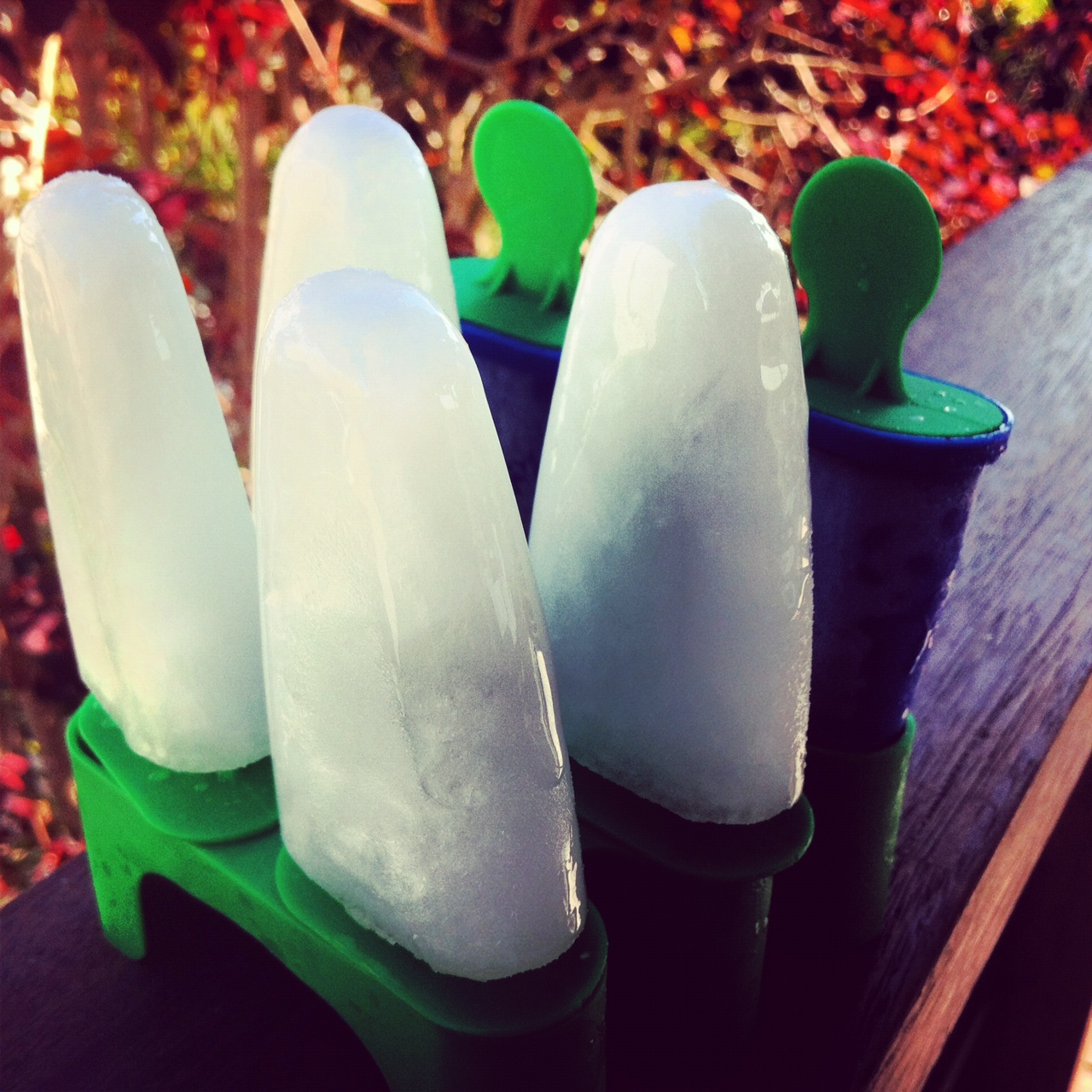 Mums in the Kitchen Lemonade Iceblocks