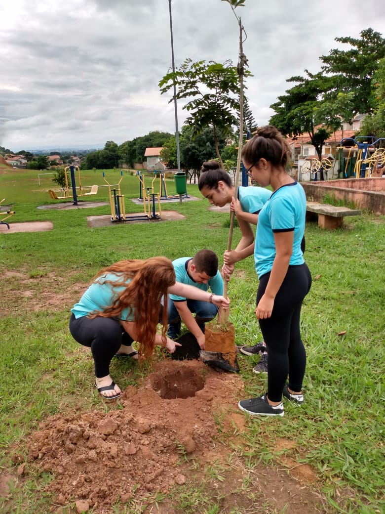 Valores e cidadania ambiental