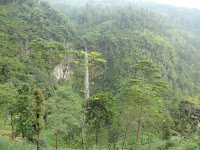 Air Terjun Kali Pancur