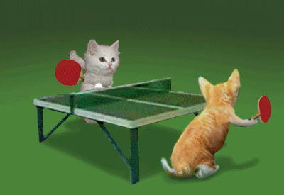 Kartun hamas vs israel Kitty+Ping+Pong+Cat+Cats+Kitty+Kitten+Kittens+Ping+Pong+funny+animal+animals+animated+animation+animations+gif+gifs+LOL+cute+laughs+laugh+laughing+mania+gif+free+download+funny+