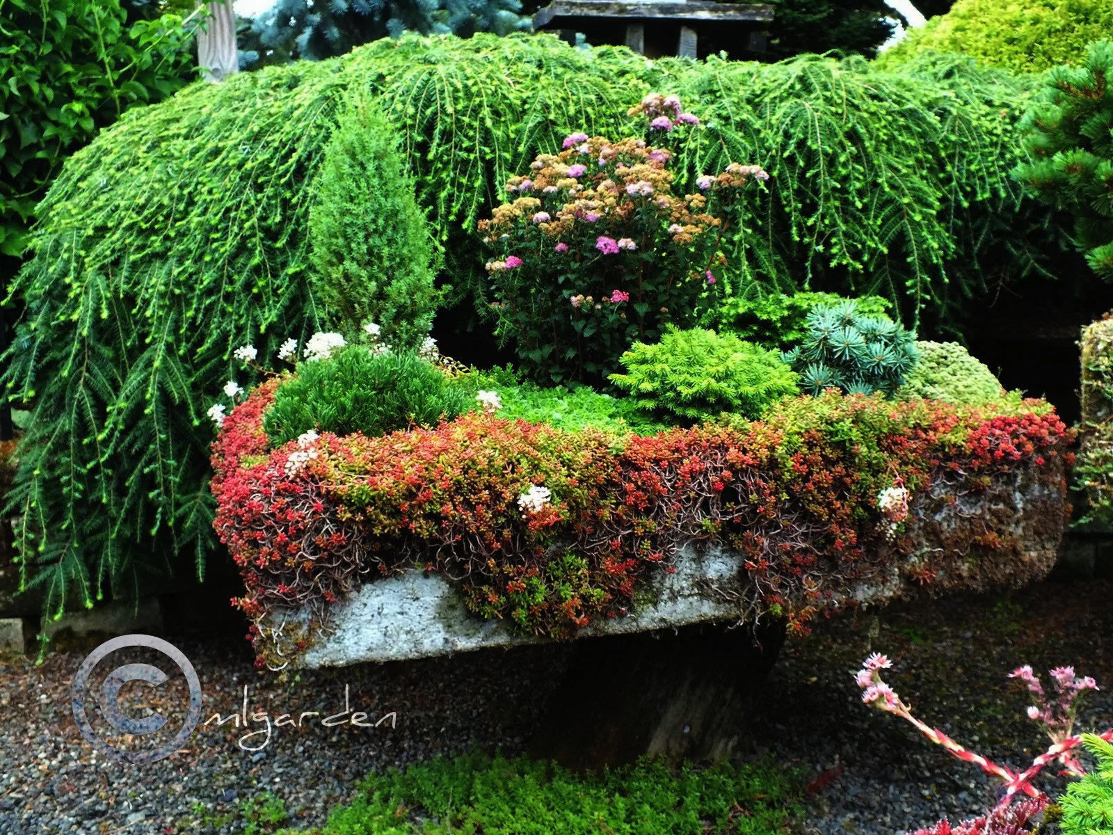 Tremendously Helpful Feng Shui Tips For Landscaping Your Garden
