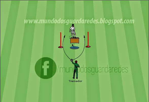 PDF) Guarda-Redes de Futebol: Treino e Jogo