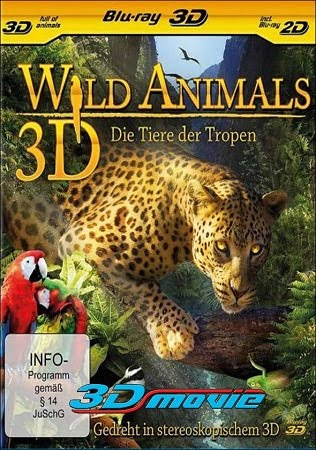 WILD Animal-HD