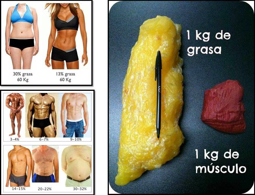 que dieta hacer para bajar de peso que dieta hacer para bajar de peso