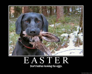Easter Bunny funny (easter bunny funny dog easter)