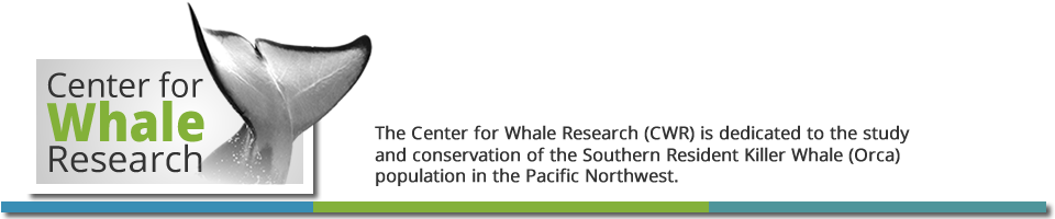 Center for Whale Research