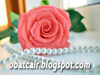 bunga pink