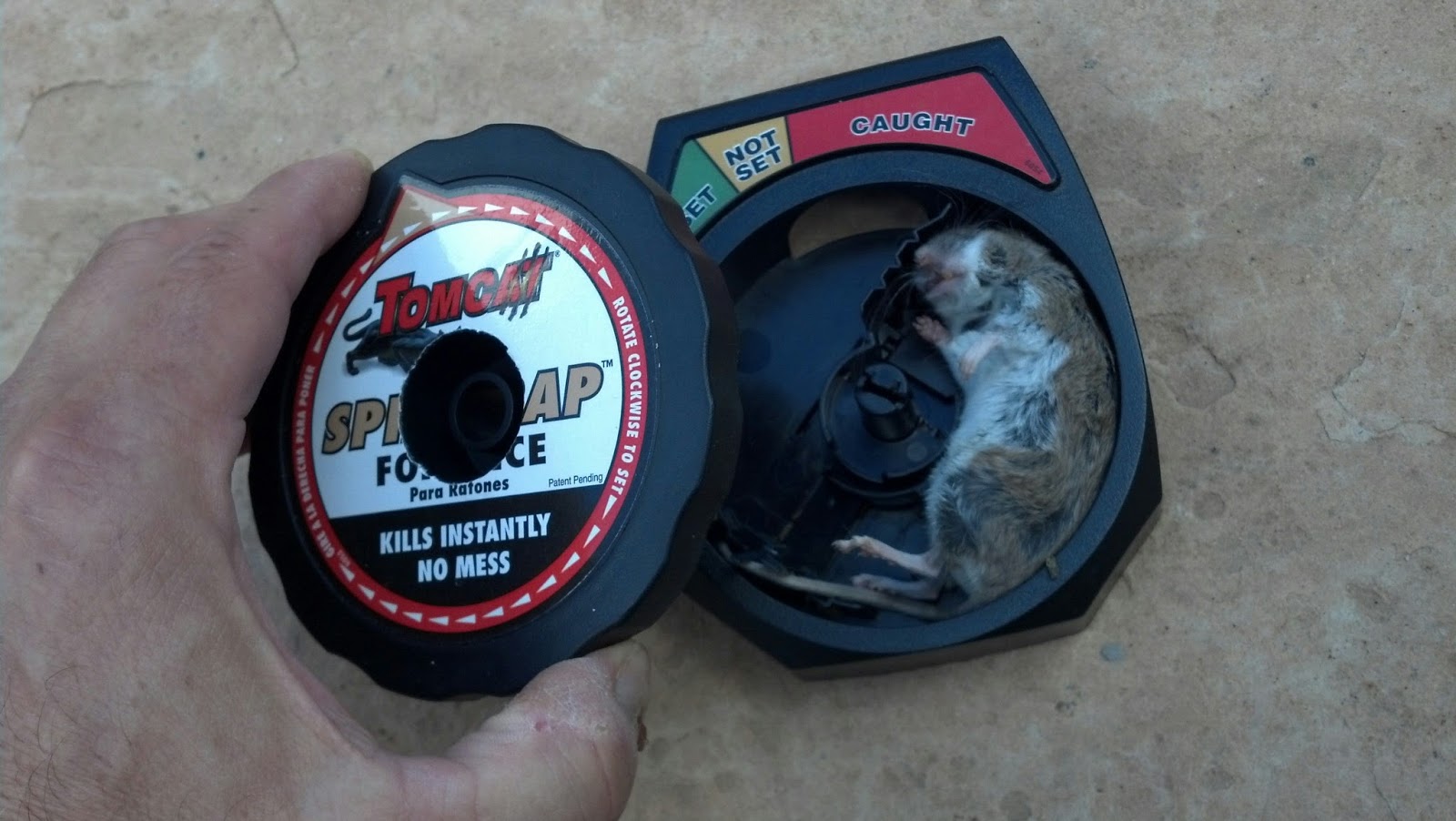 Diy five gallon bucket mouse trap | gentleman homestead 
