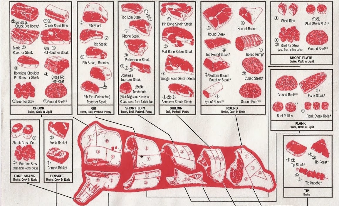 ideal kedi kilosu nedir