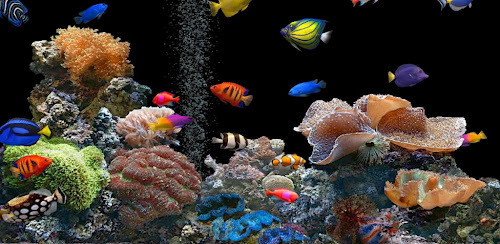 Android 3D aquarium live wallpaper HD 1.0 apk - Android Best Live