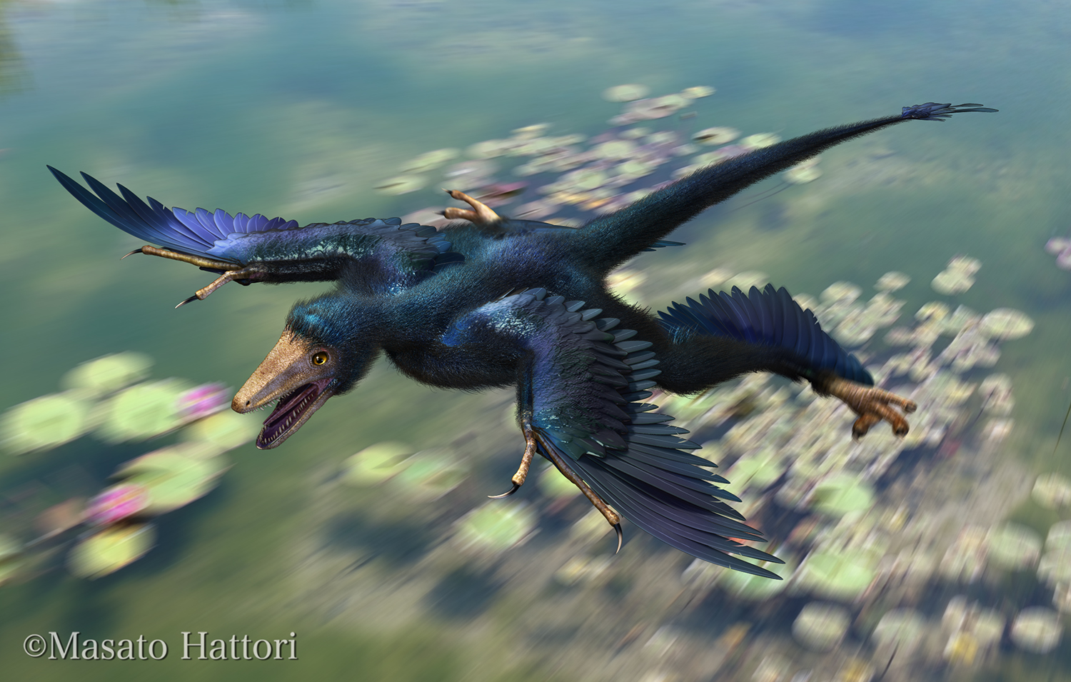 Marchan Blog ミクロラプトル Microraptor