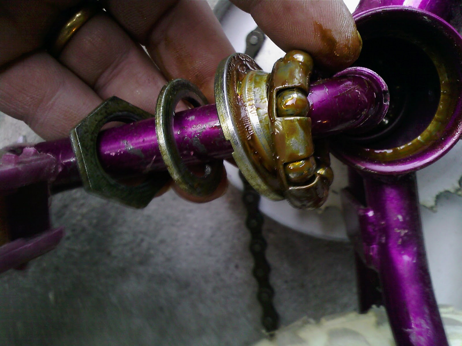 Chicargobike Make your own Balance Bike