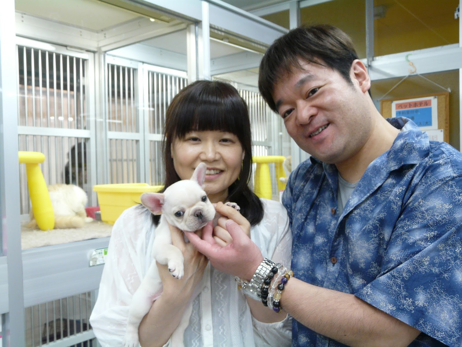 丸和総合ペット お客様ご紹介