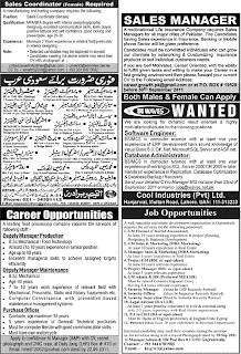 Various Jobs In Private Companies  Jobs+Sunday