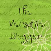The 2011 Versatile Blogger Award