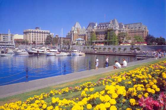 Paket Tour Wisata ke Kanada 2020 Satria Wisata