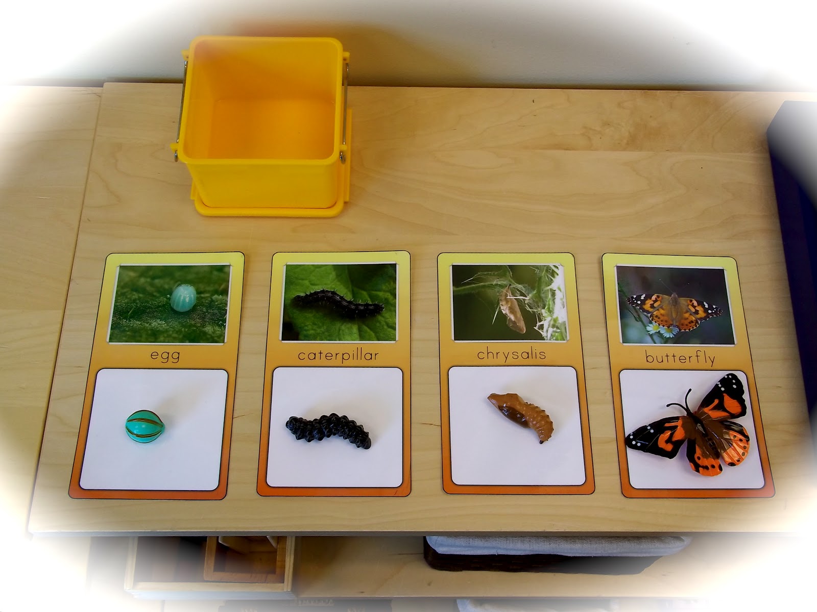 The Helpful Garden Insect Lore Life Cycle Matching Activities and