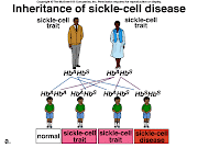 September : Sickle Cell Awareness .
