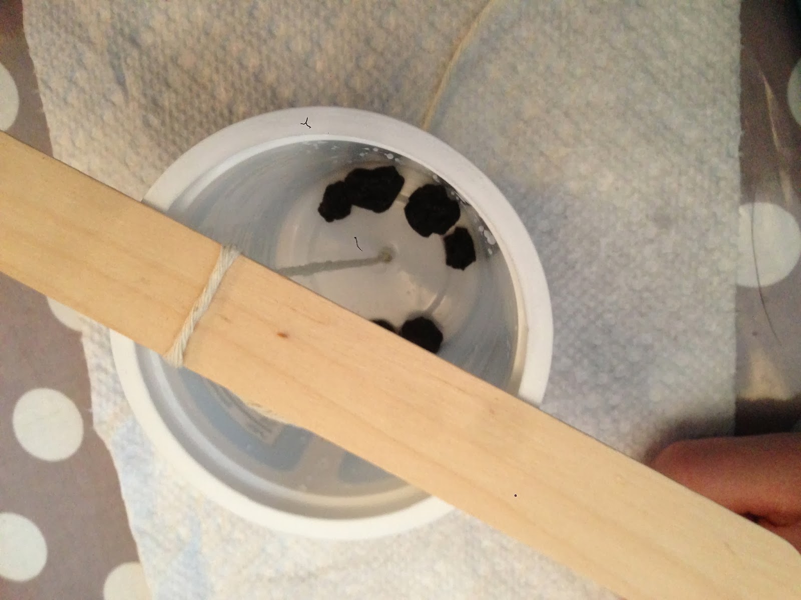 The Blue Barn Yogurt Pot Bird Feeders