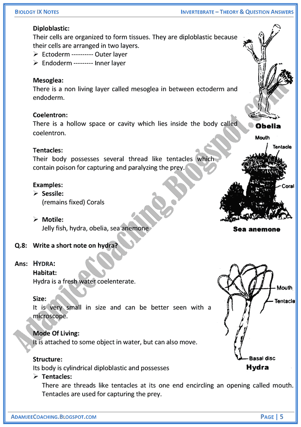 invertebrata-theory-notes-and-question-answers-biology-notes-for-class-9th