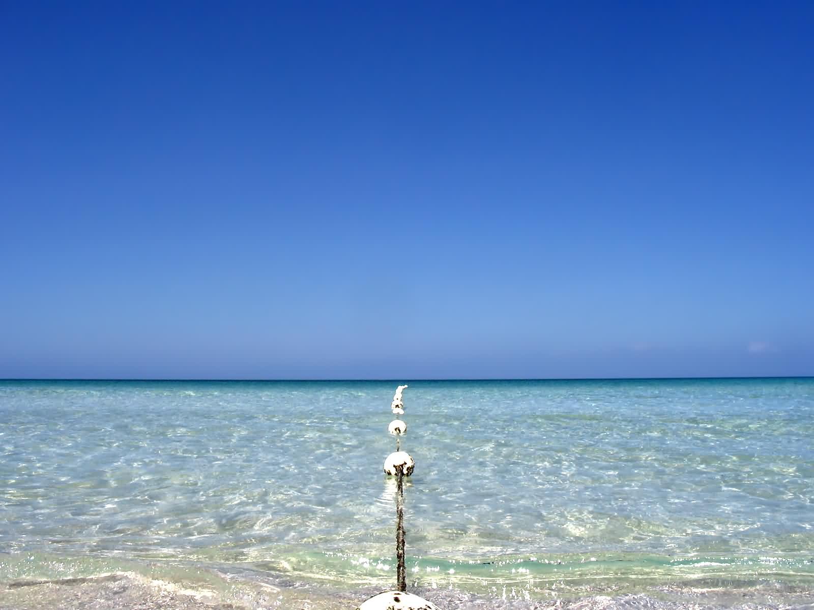 http://2.bp.blogspot.com/-SR7M54Br-MI/UH0HXZPAmGI/AAAAAAAAAoE/ypwFkgyVIxA/s1600/ocean%2Bwallpaper%2B3.jpg
